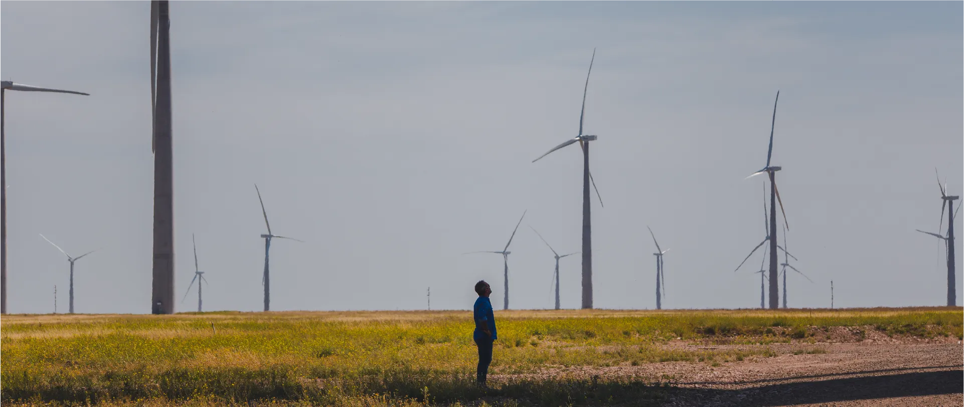 Hombre en un campo mirando turbinas de viento